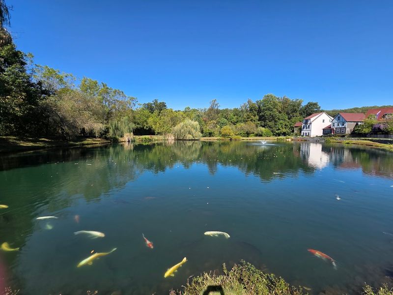 Quiet Weekday Walks And Off Season Charm