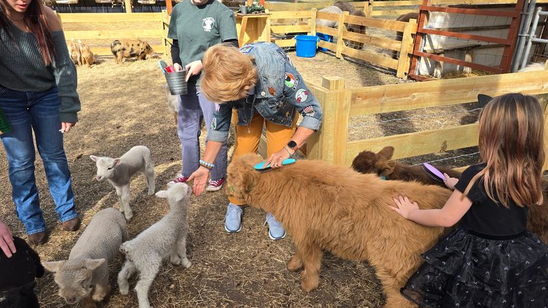 Getting Inside the Enclosure With the Animals