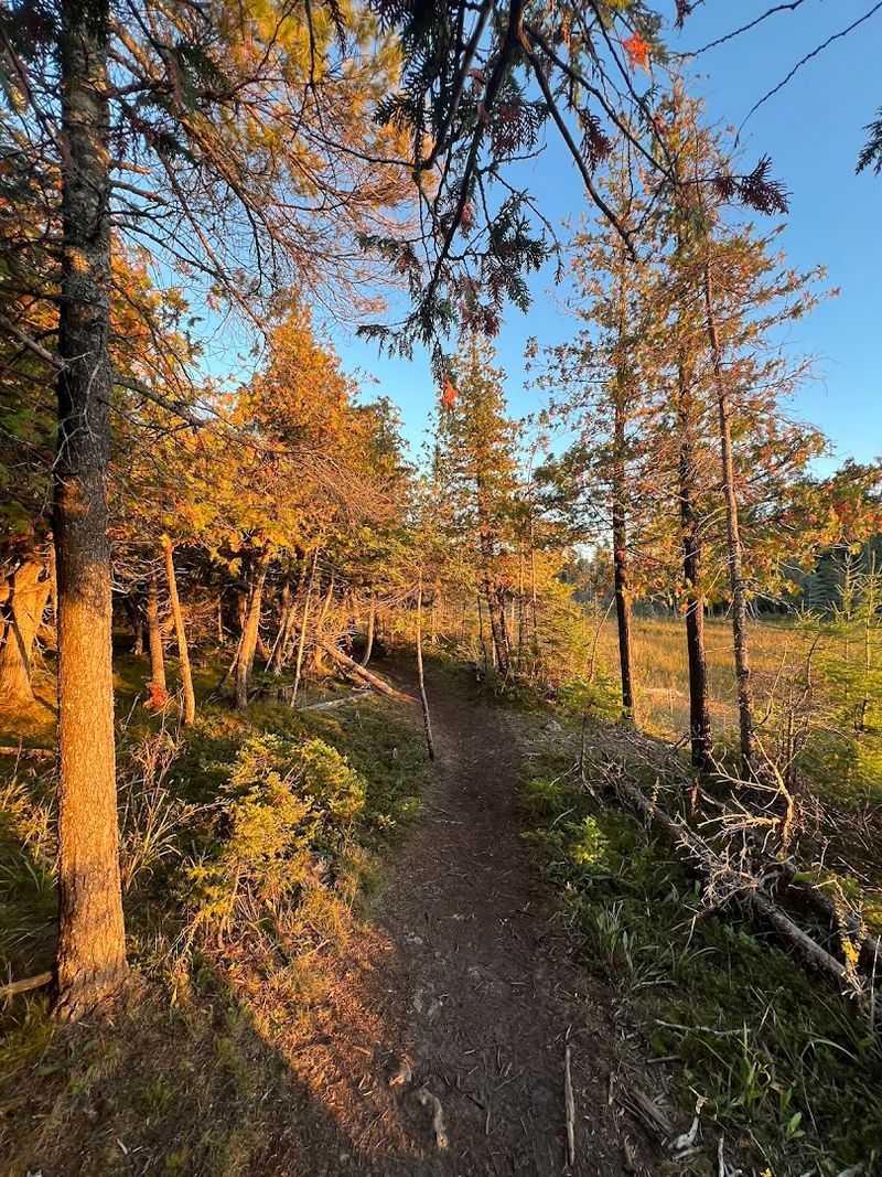 Essential Visitor Tips for Families