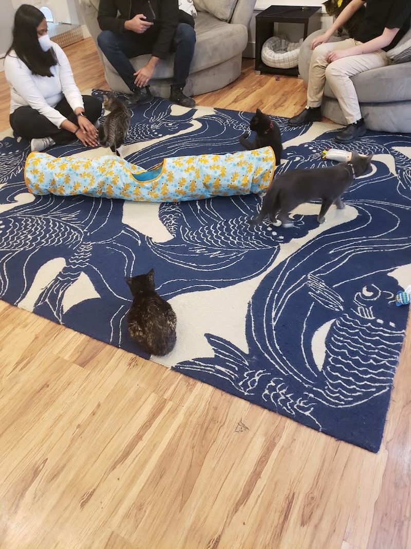 More Than a Caf&eacute; &mdash; A Community Hub