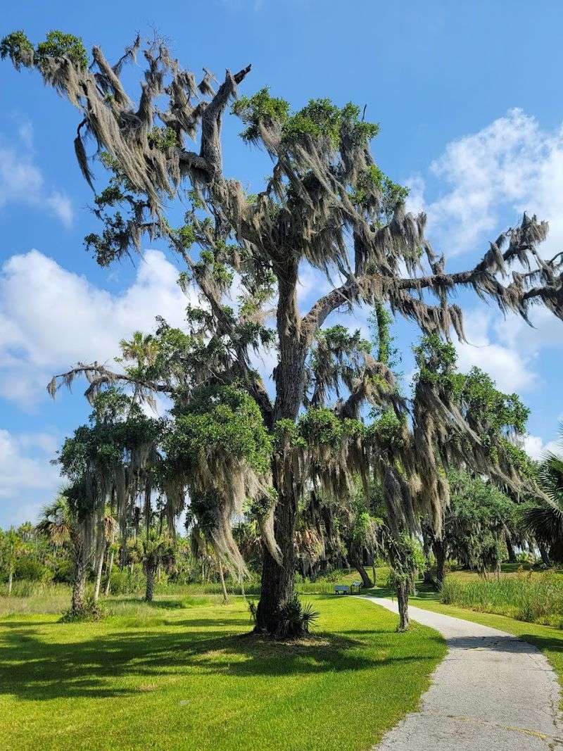 The Short Ceremonial Mound Trail
