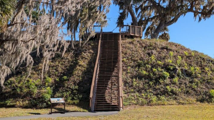 A Short Trail in Florida Leads Past Ancient Mounds From a 1,600-Year-Old Coastal Village