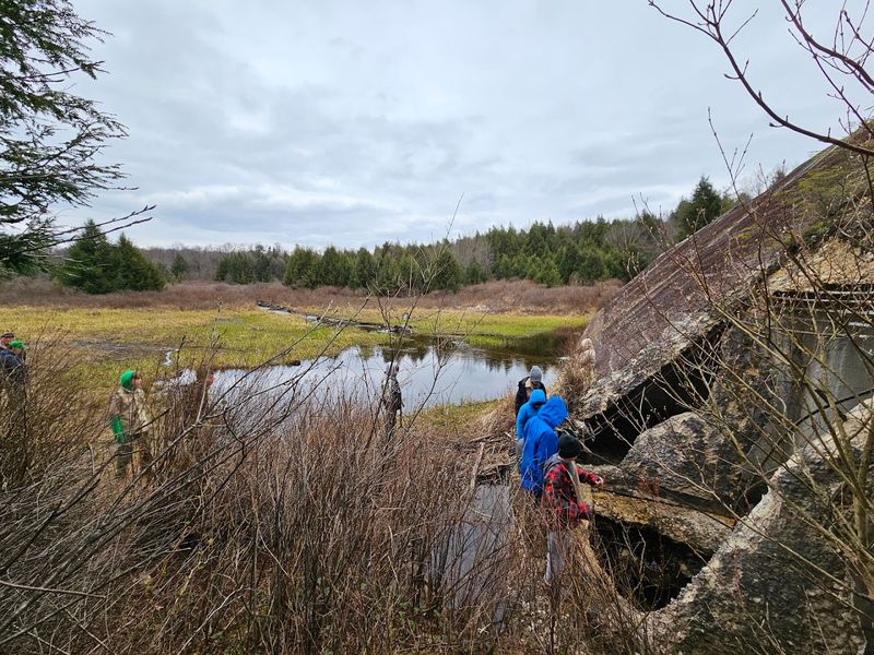 Getting There The Easy Way