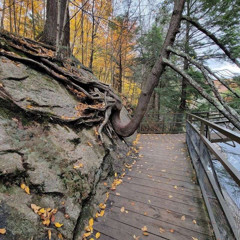 Accessible Trails and Infrastructure