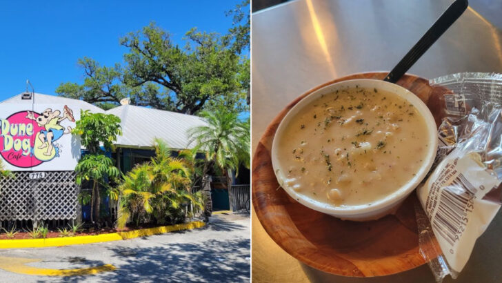 A Small Cafe Just Off the Coast in Florida Serves Some of the Best Clam Chowder in the State