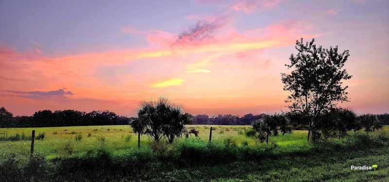 Wildlife Sightings That Surprise Most Visitors