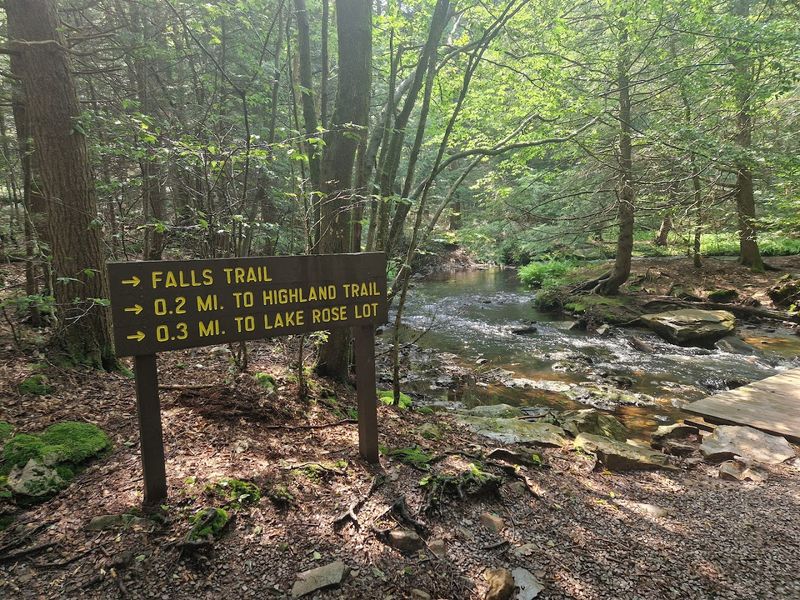 The Falls Trail: A 7-Mile Journey Past 21 Named Waterfalls