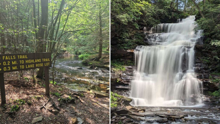 A State Park Trail in Pennsylvania Takes You Past 21 Wild Waterfalls and Through Centuries-Old Forest