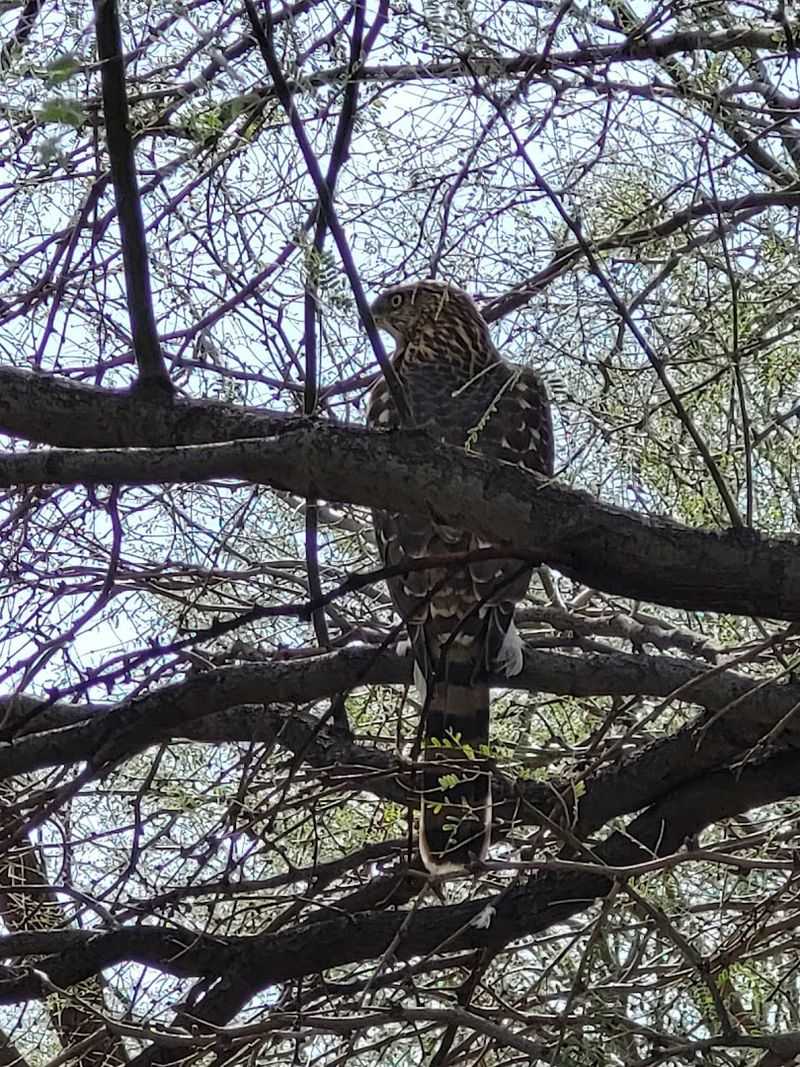 A Birdwatcher's Hidden Paradise