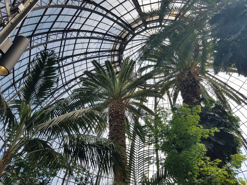 Gar Central: Oddballs With Attitude