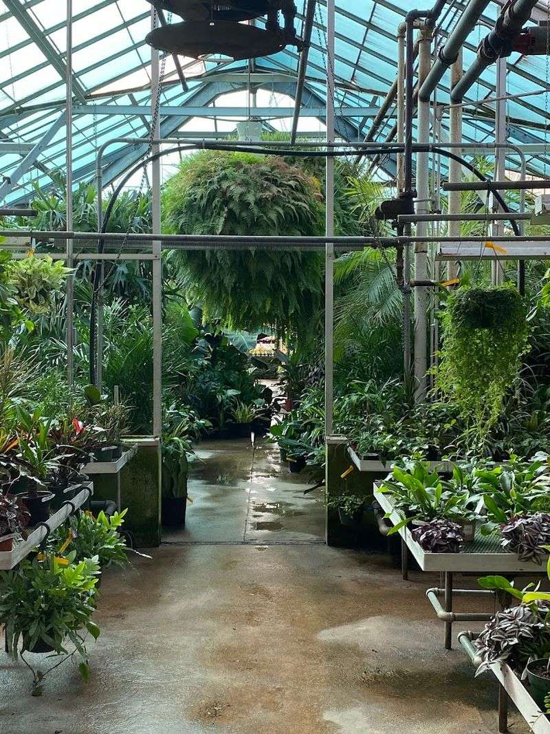 A Greenhouse That Feels Like a Tropical Escape