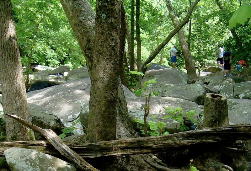 Historic Roots: From Industry to Intact Village