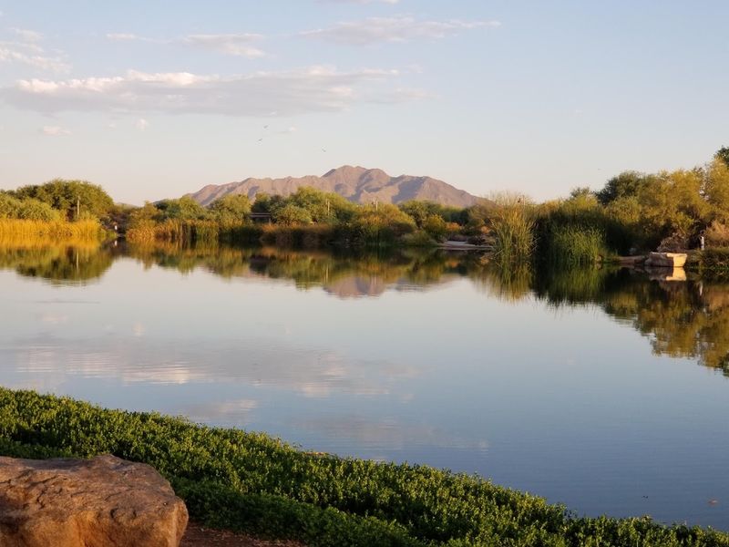 78 Acres of Engineered Wetlands