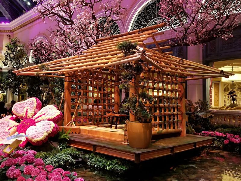 Essential Visitor Tips for the Best Experience