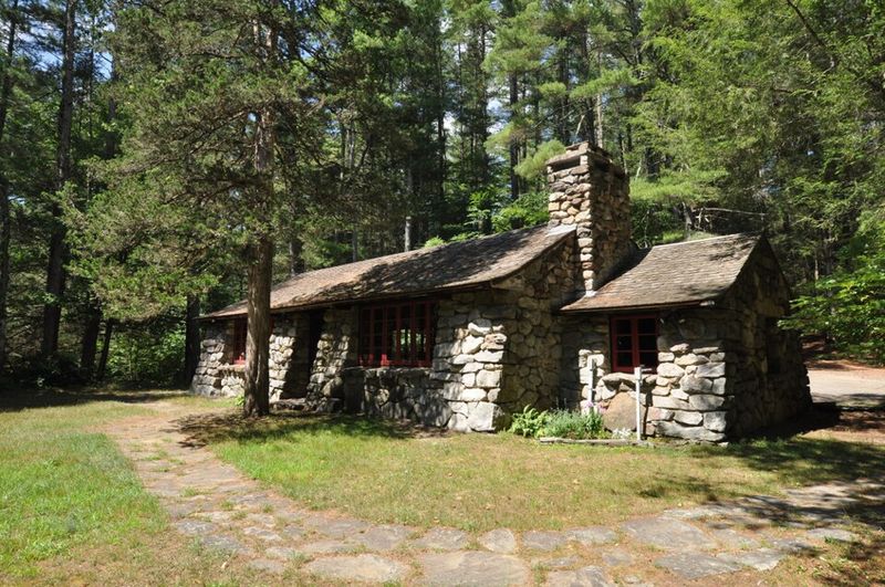 The Vast Wilderness of Peoples State Forest