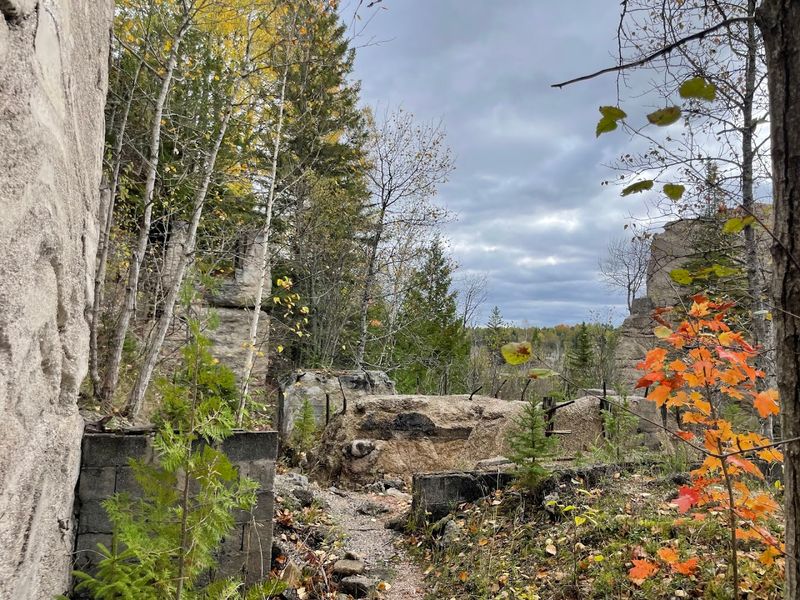 Ruins Hidden in the Forest