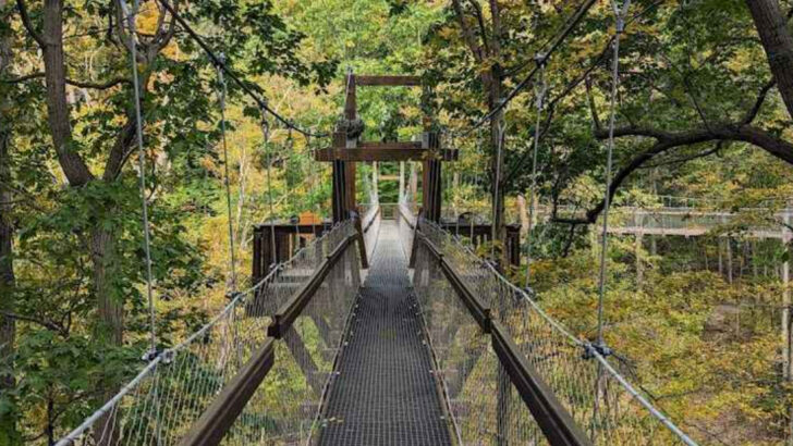 A towering canopy walk in Ohio lets you stroll above the forest across a 3,600 acre nature preserve