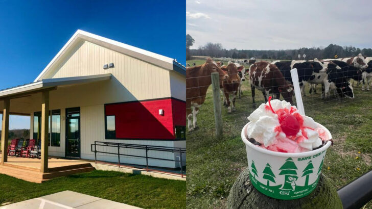 A working dairy farm in North Carolina serves fresh ice cream made on site