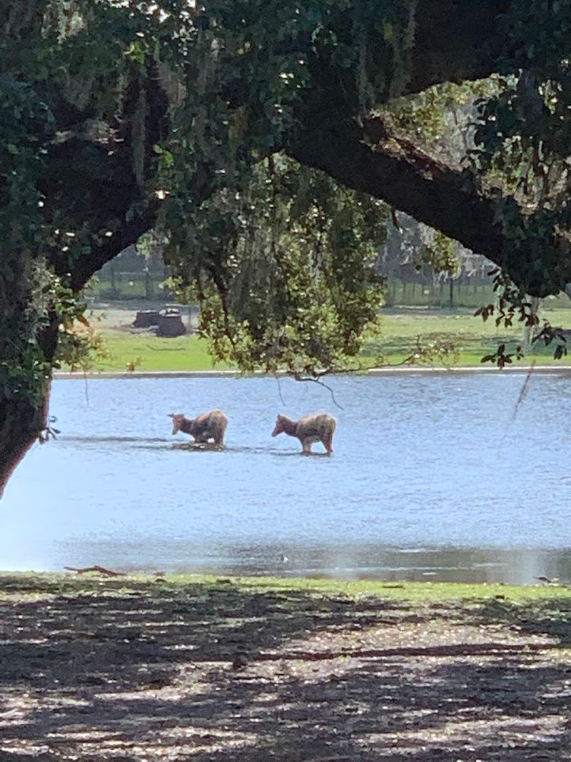 Kids, Teens, And Multi generational Wins