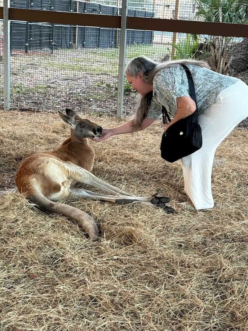 Volunteering, Donations, and Round-Up