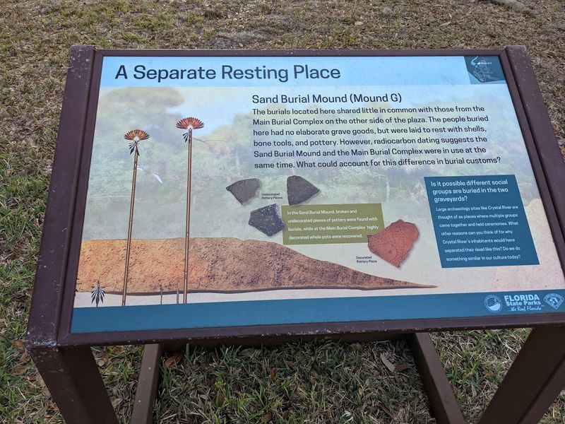 Essential Planning: Hours, Fees, and Etiquette