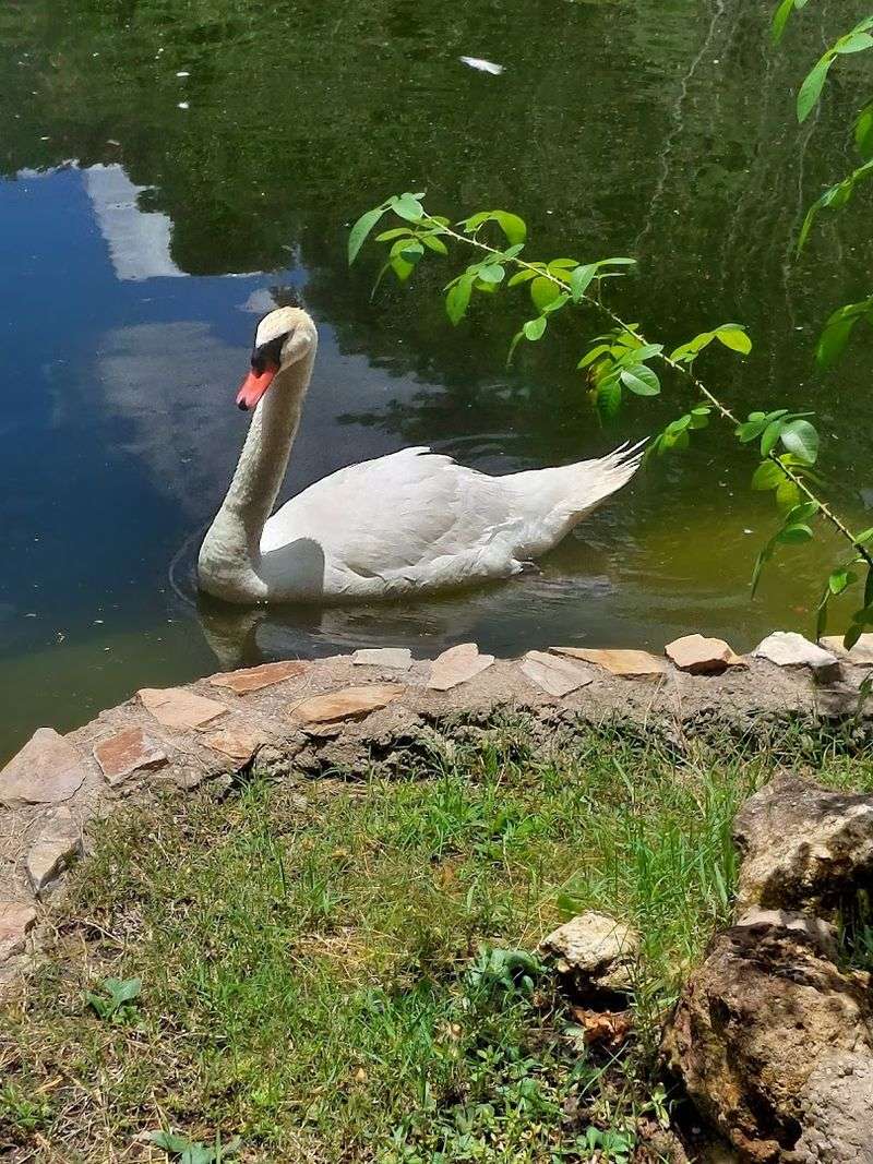 Photography Spots and Angles