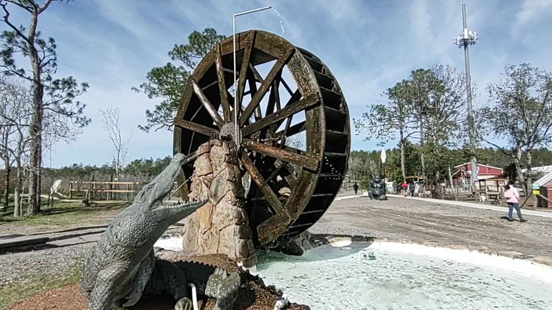 Best Photo Spots and Etiquette