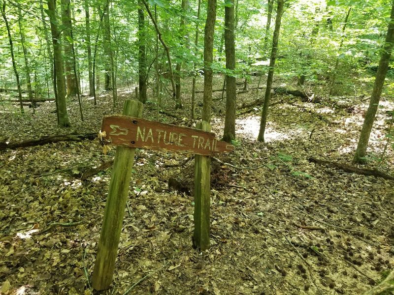 Connector To Dauset Trails and Nearby Stops