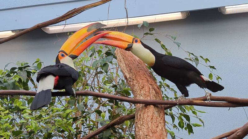 Photography and Best Times to Visit