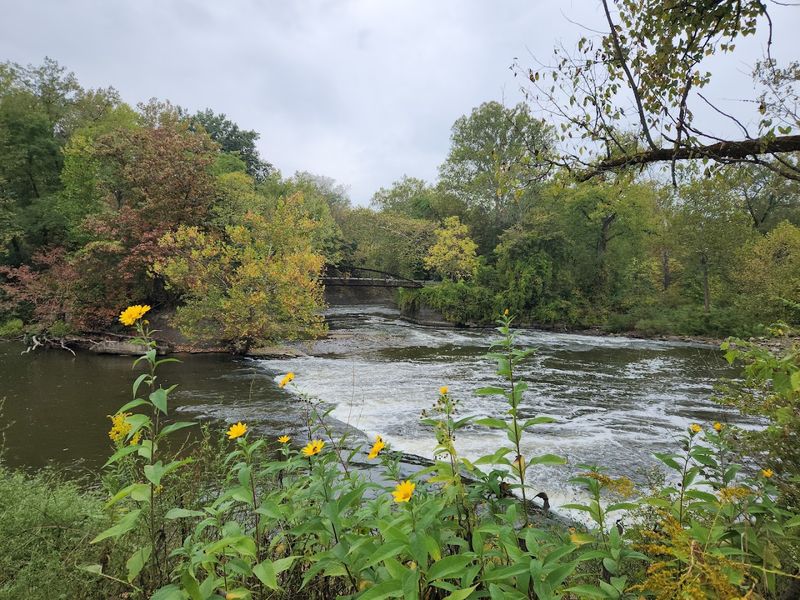 Making the most of live commentary