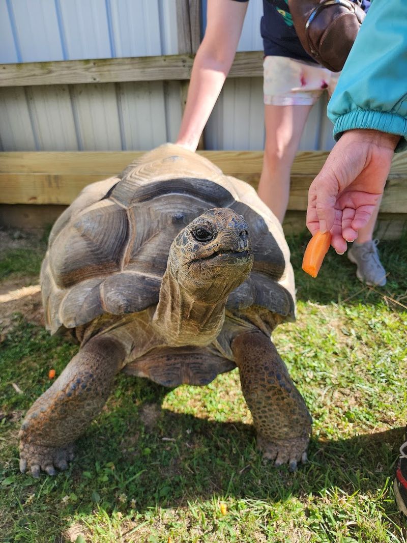 Making The Most With Kids