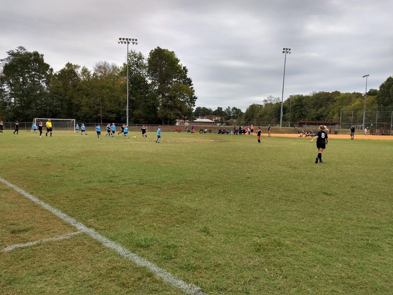 Essential Visitor Info: When to Go and What to Expect