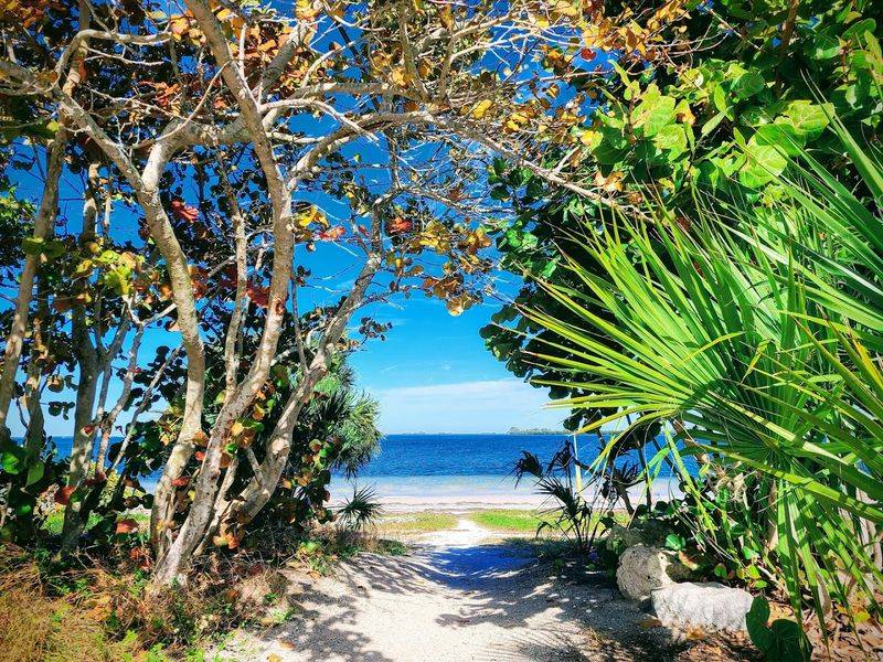 Visitor Tips and Seasonal Highlights Worth Knowing