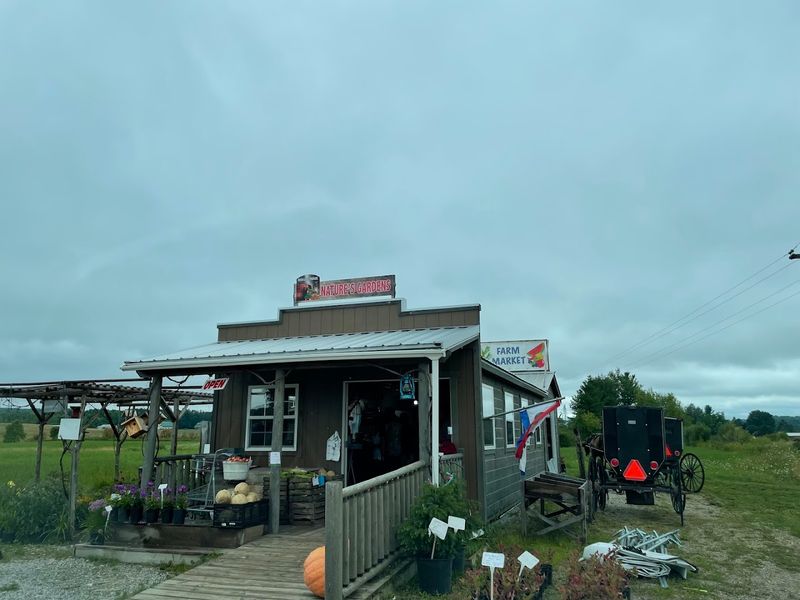 Pleasant Valley Amish Market - Manton, MI