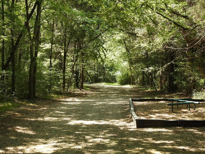 Miles of Walking and Nature Trails
