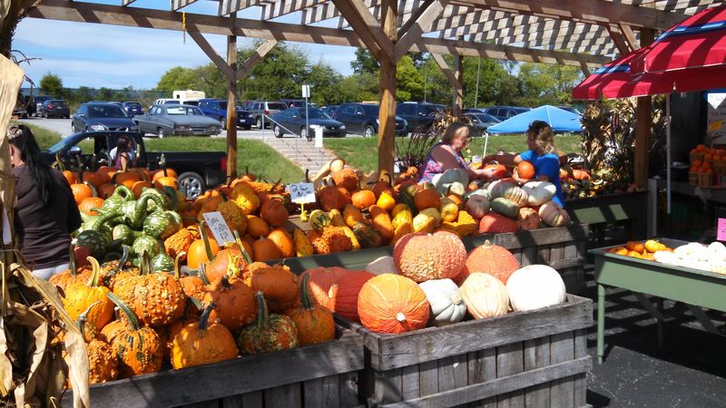 A True Farmer's Market Experience