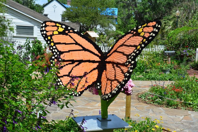 The Butterfly Garden: Where Wings and Wildflowers Meet