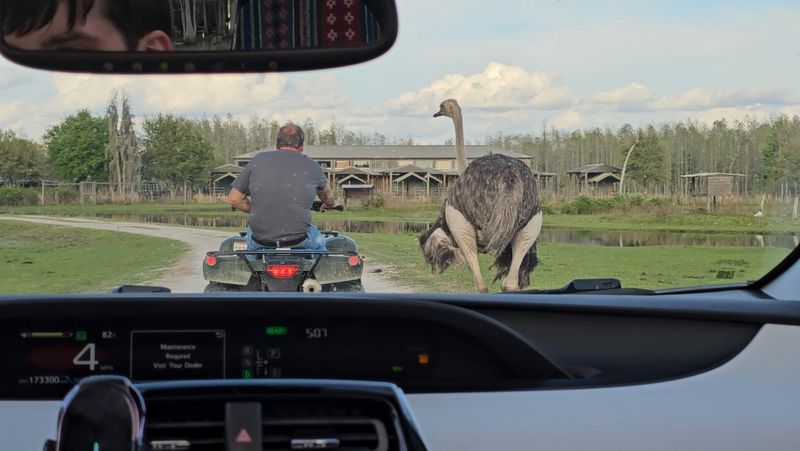 The ATV Safari Tour Option