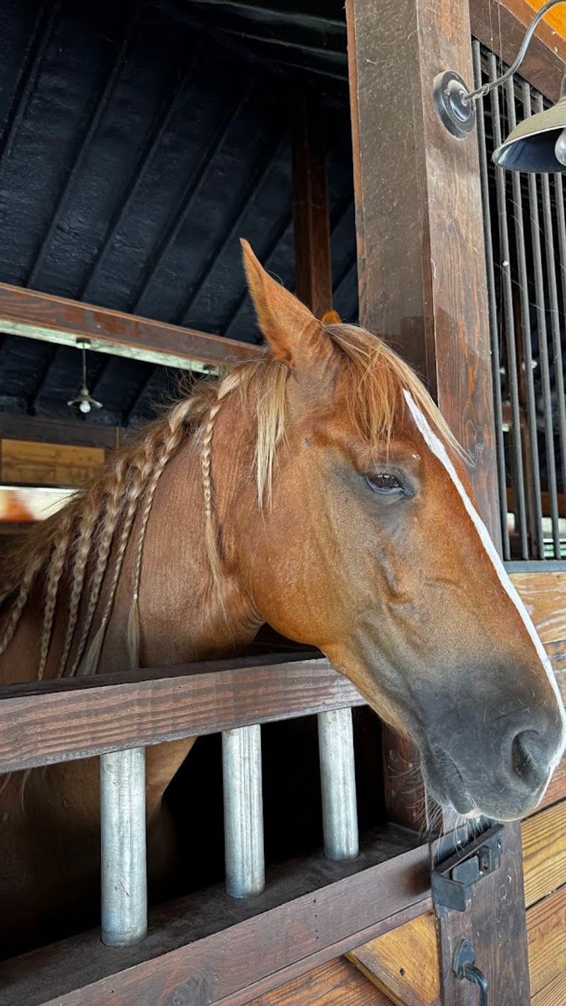 Date Ideas And Group Outings