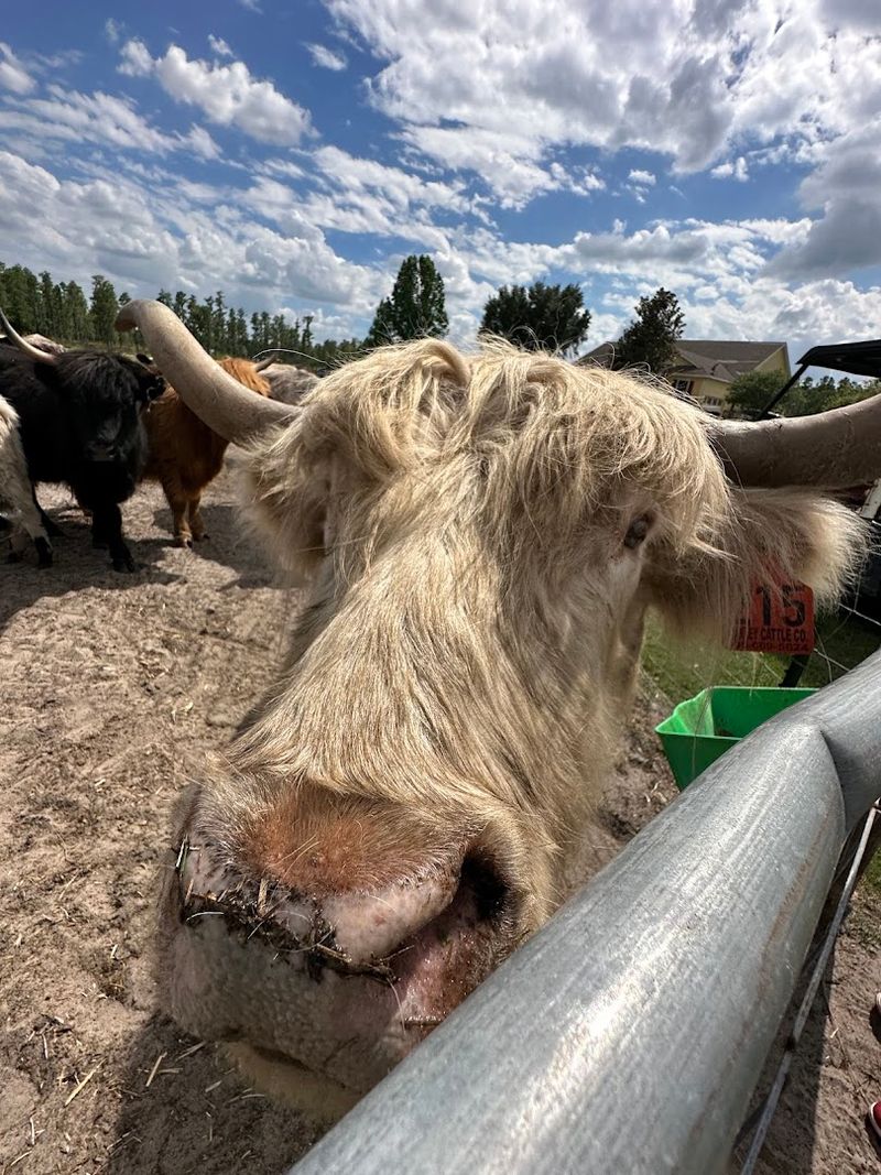 Booking, Timing, And Weather Smarts