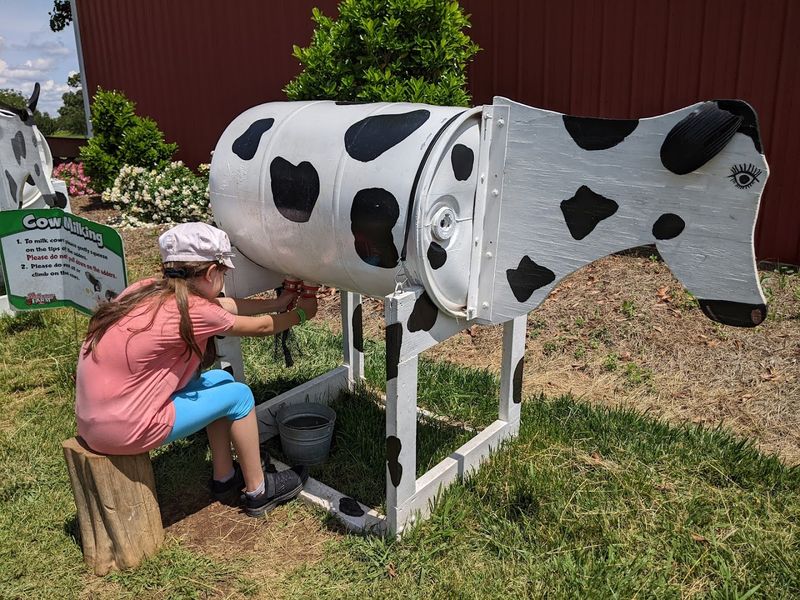 PawPaw Carl&rsquo;s Playground
