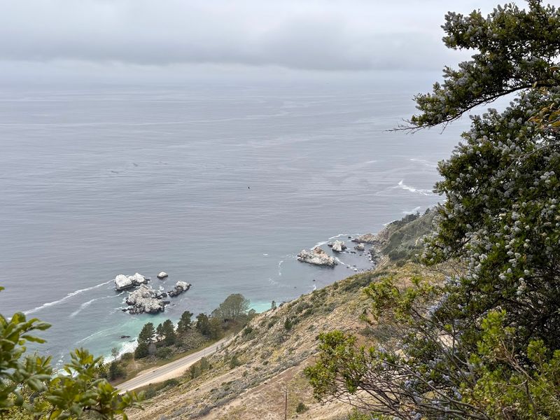 Big Sur: Ewoldsen Trail in Julia Pfeiffer Burns State Park