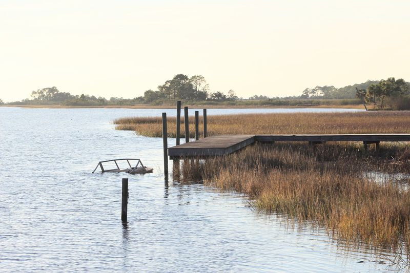 Kayaking the River, Bayous, and Scipio Creek
