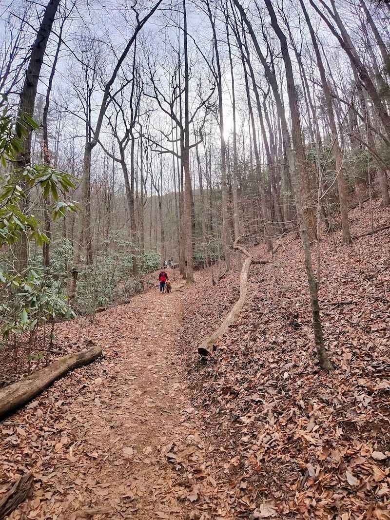 Blood Mountain via Byron Reece and Appalachian Trail