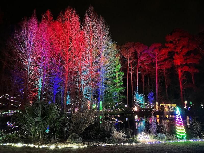 Holiday Lights At The Garden