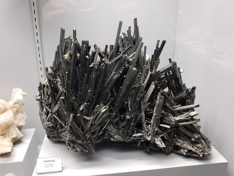 How The Collection Stays Sharp