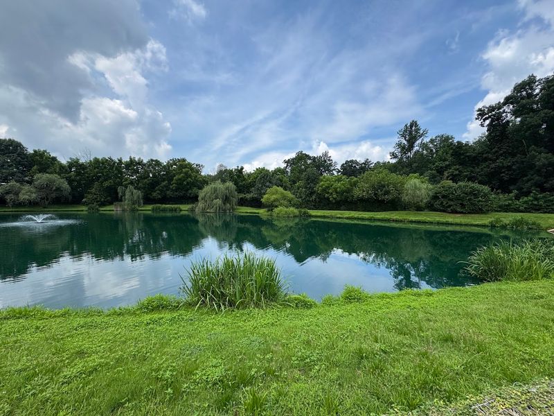 The Pond, Koi, And Quiet Corners