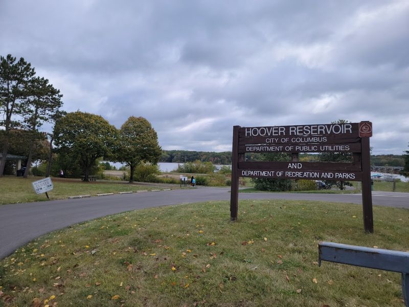 Learning the Reservoir's 1955 History