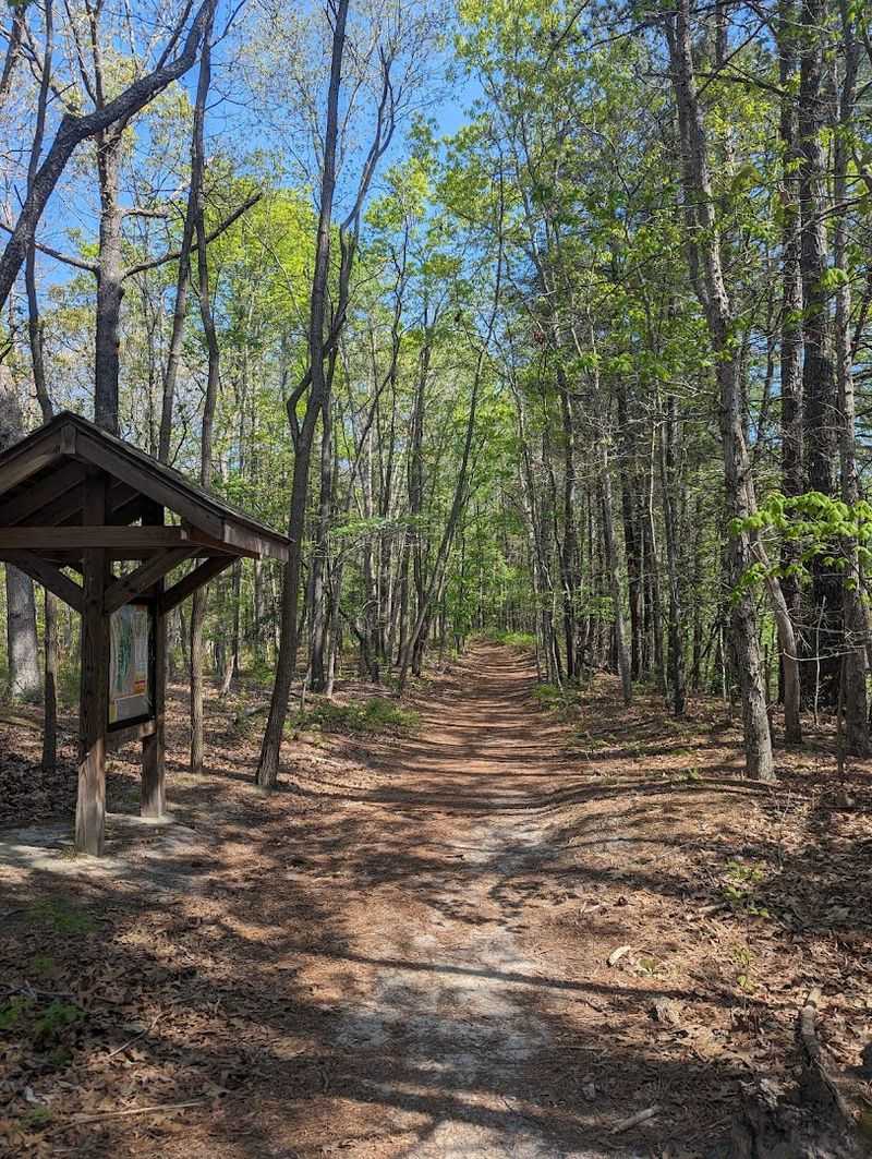 A Brief History of the Park