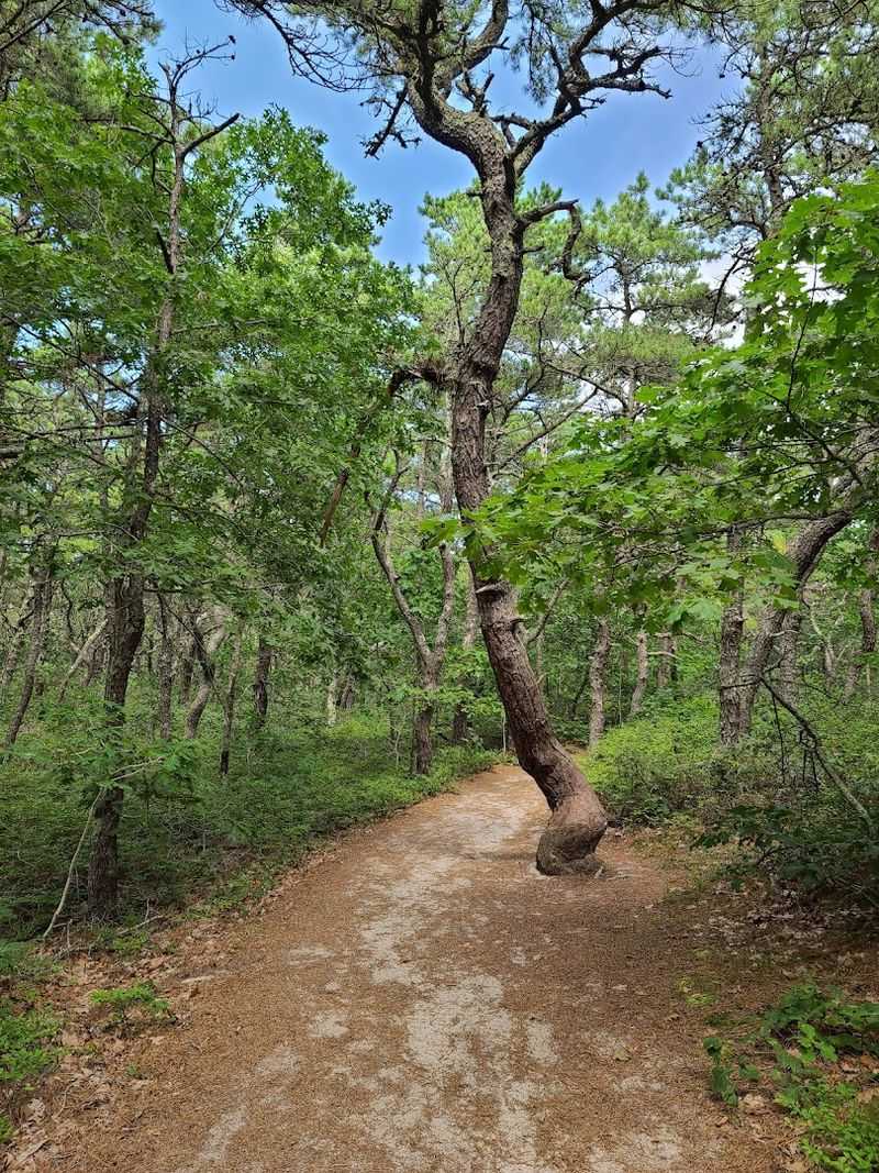 Trail Difficulty and Who It Is Perfect For